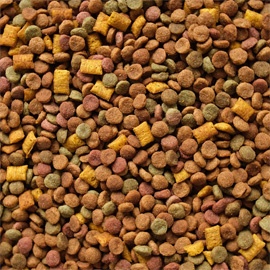 Pile of dried tablet pet food inside a bucket elevator